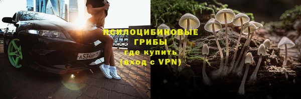 индика Алексеевка