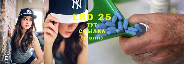 индика Алексеевка