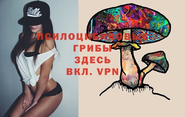 индика Алексеевка