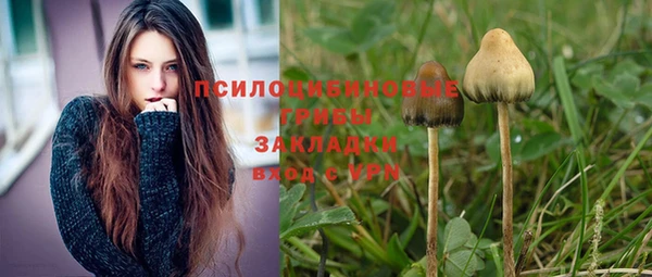 индика Алексеевка