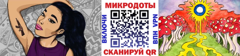 Псилоцибиновые грибы мицелий закладки Биробиджан